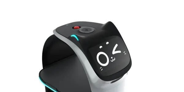 BellaBot smart expressions and interactions